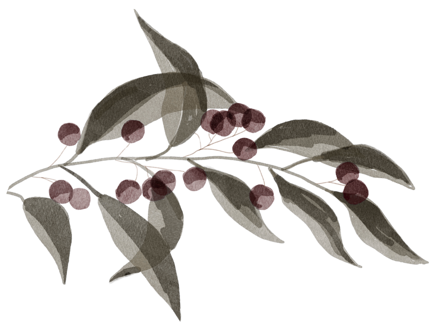 Decoración
